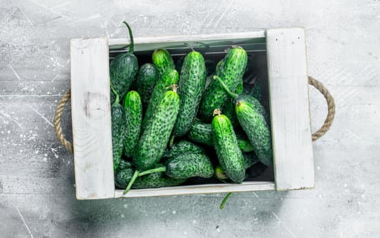 canva fresh cucumbers in tray MAEPFFbcRp4