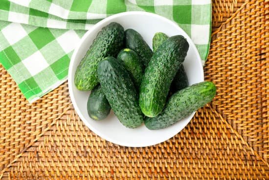 canva fresh cucumbers with green checked cotton serviette on the table MAD Mh9o2wg