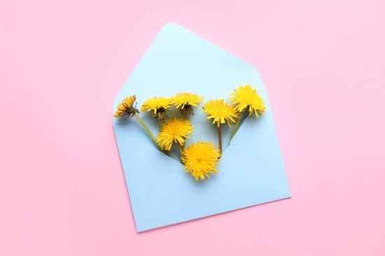 canva fresh dandelion flowers and envelope on color background MAD8BWOl77U