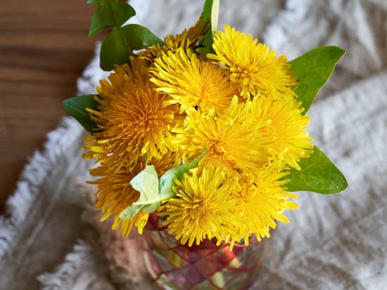 canva fresh dandelion flowers in a vase on a table MAEkDDllFlQ