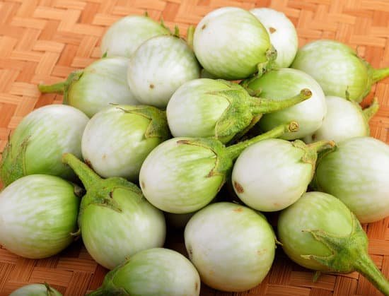 canva fresh eggplant MADBwsUHbFs