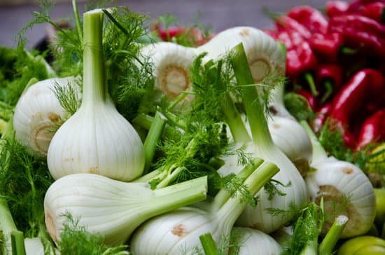 canva fresh fennel MAC9dVUGMIc
