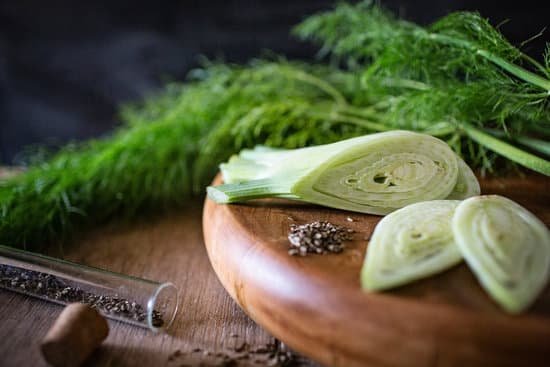 canva fresh fennel and fennel seeds MADCMPqe OU