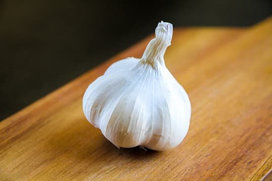 canva fresh garlic bulb MAEC
