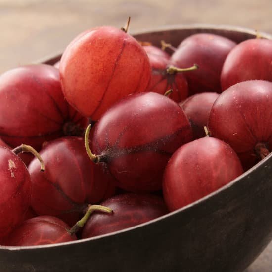 canva fresh gooseberry fruit MAC SCz2ag0