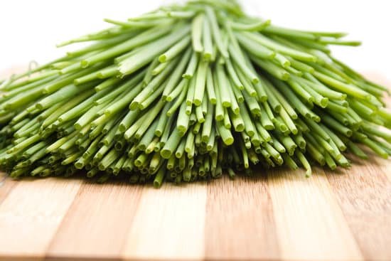 canva fresh green chives MADAIyOmeuQ