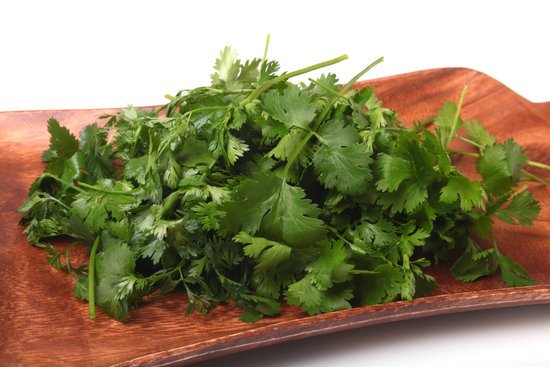 canva fresh green cilantro coriander leaves on wooden board. MADFwtNZbrQ
