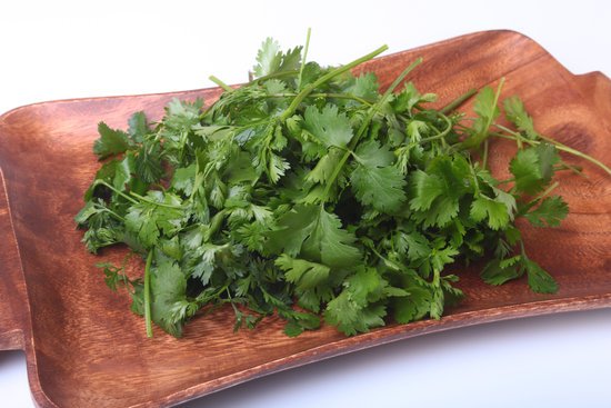 canva fresh green cilantro coriander leaves on wooden board. MADGHDgk9hs