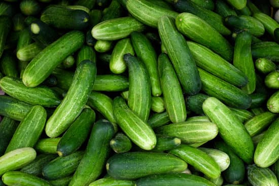 canva fresh green cucumbers MAEQ1PiuM8Y