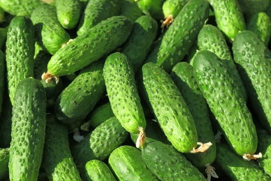 canva fresh green cucumbers close up MAD9bd61bsk