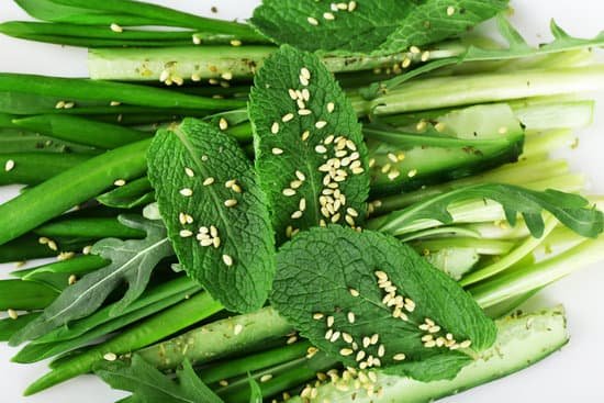 canva fresh green salad with cucumber and wild leek closeup MAD MOVrrTo