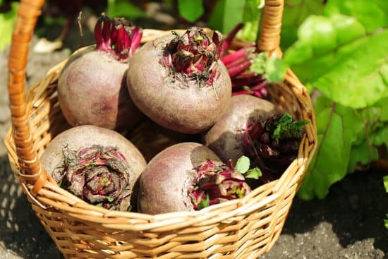 canva fresh harvested beet in basket MAD MXUR0IQ