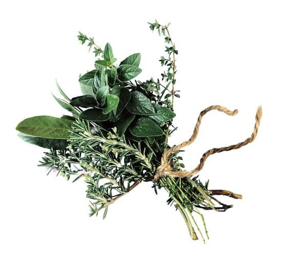 canva fresh herbs MAC77bmd0oQ