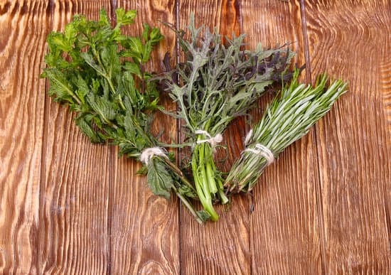 canva fresh herbs hanging over wooden background MAEPjeQano4