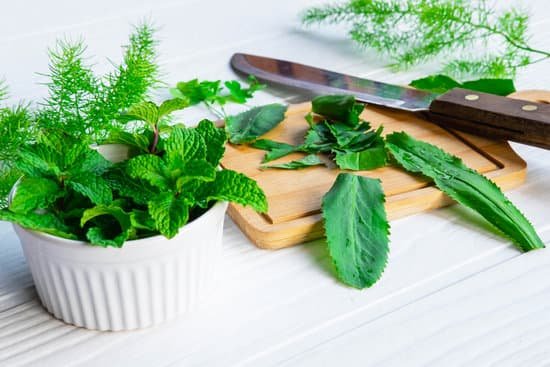 canva fresh herbs on the table MAEErcHKP w