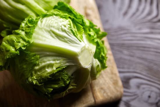 canva fresh iceberg lettuce