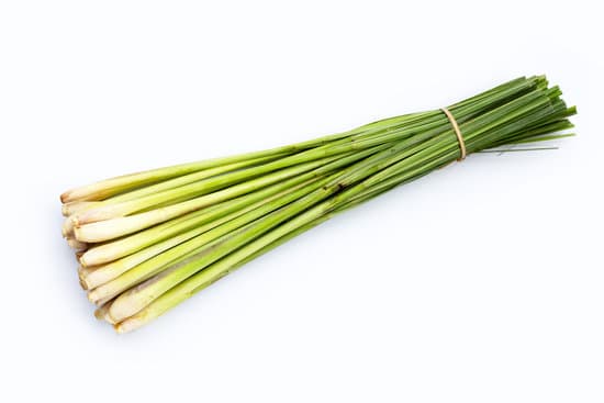 canva fresh lemongrass on white background. MAEkCs8Aw8M