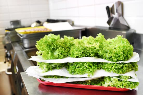 canva fresh lettuce on a tray in the kitchen MAEQLzCUCAA