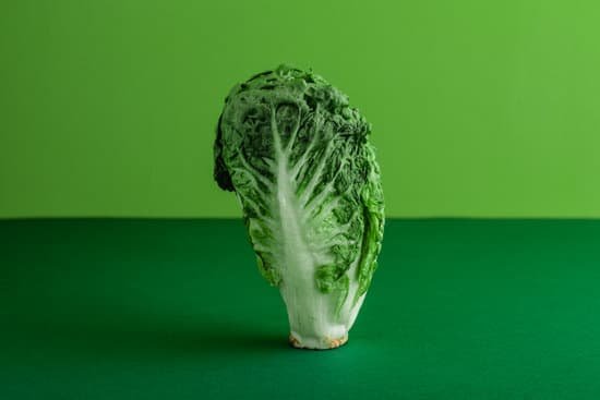 canva fresh lettuce on green colored background MAD6WzQUHms