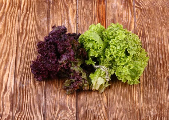 canva fresh lettuces in wooden table