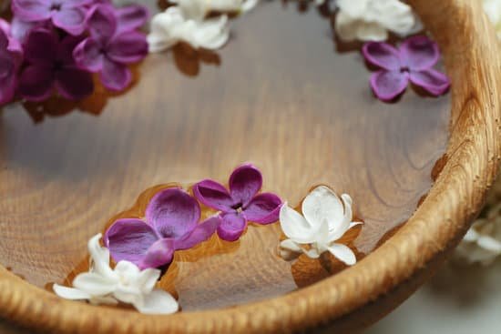 canva fresh lilac flowers in wooden bowl closeup MAD QkltYD0