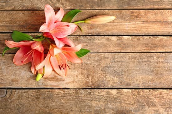 canva fresh lily flowers on wooden background MAD Qy4VNl0