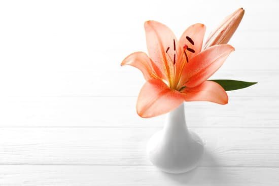 canva fresh lily in vase on light wooden background MAD Q4cLSO0