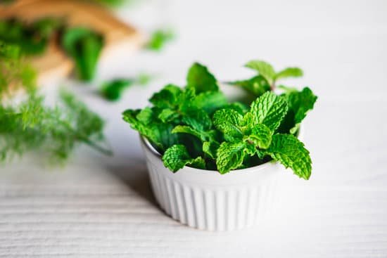 canva fresh mint herbs in a white bowl MAEFJHbkcl0