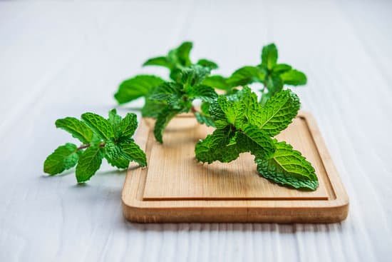 canva fresh mint herbs on wooden board MAEE3HAalTw