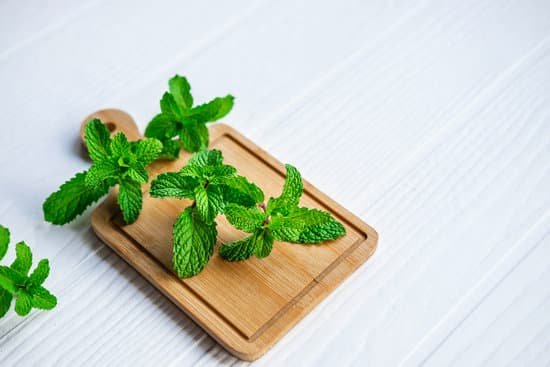 canva fresh mint herbs on wooden table MAEE3OKbynI