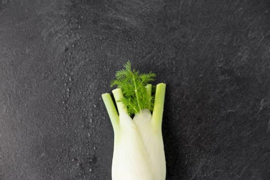 canva fresh organic fennel MAEQQvpefqk