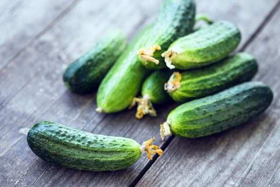 canva fresh young cucumbers MADhb5A9SzU