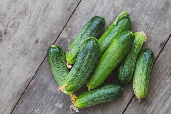 canva fresh young cucumbers MADhby7A6bE