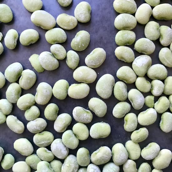 canva frozen lima beans MAEEBEqu3oA