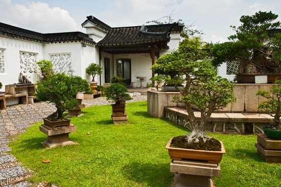 canva garden a bonsai singapore MAER 2hZ5ms