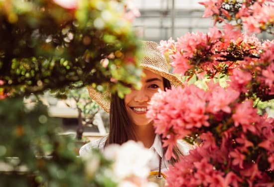 canva gardener in bonsai greenhouse center MADg9SBs9F0