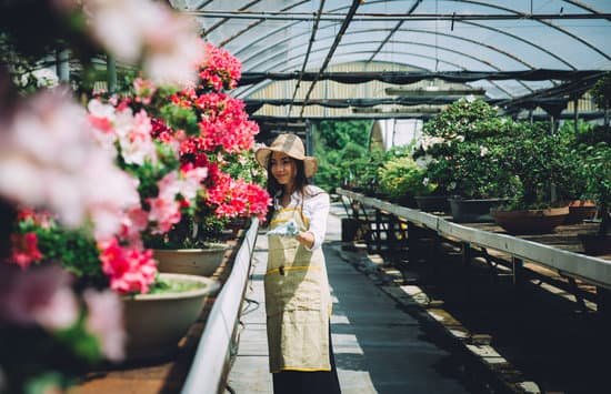 canva gardener in bonsai greenhouse center MADg9c db6I