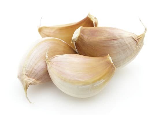 canva garlic