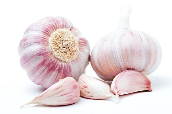 canva garlic MAC5zi nThs