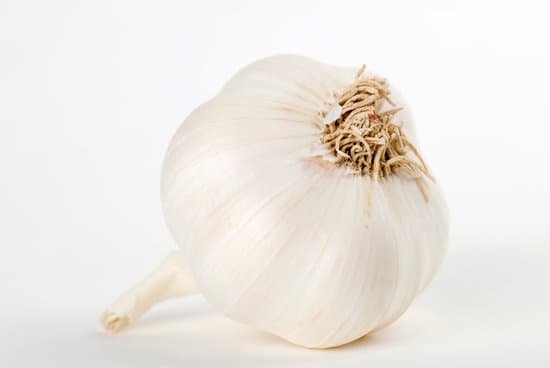 canva garlic MAC6Pk6DGug