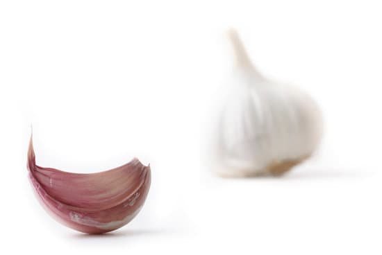 canva garlic MAC8i3WWHZw