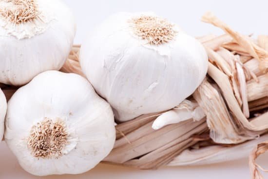 canva garlic MAC8nEFGPZ0