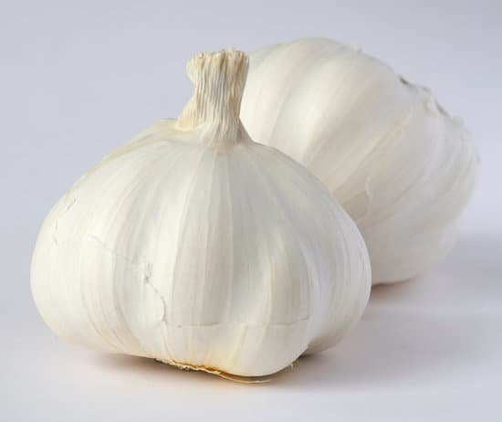 canva garlic MAC9RaKrD3E