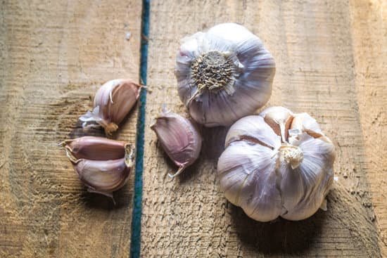 canva garlic