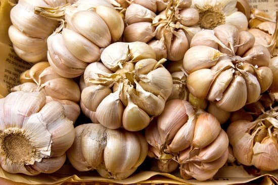 canva garlic MADAW9D6RE4