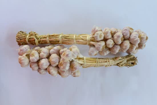 canva garlic MADAjJibRAU