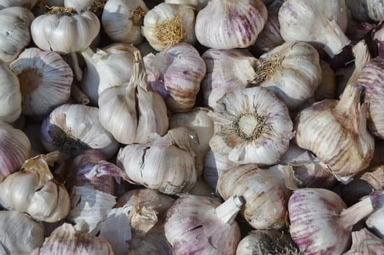 canva garlic MADArHKpA c