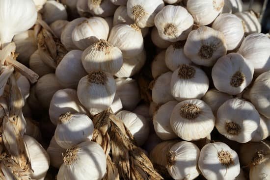 canva garlic MADB77IW0Uo
