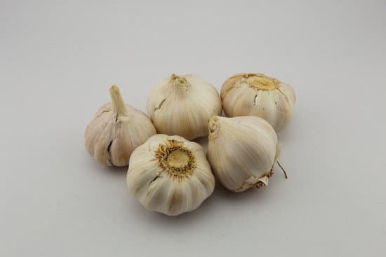 canva garlic MADB9wJUHuQ