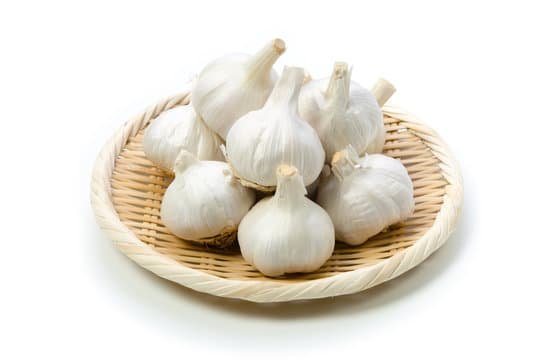 canva garlic MADBMfltlgg